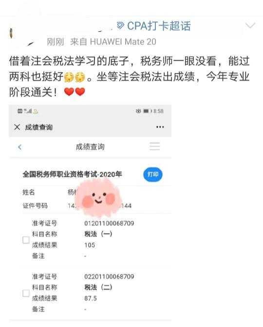 注册会计师在税务领域的角色与挑战解析