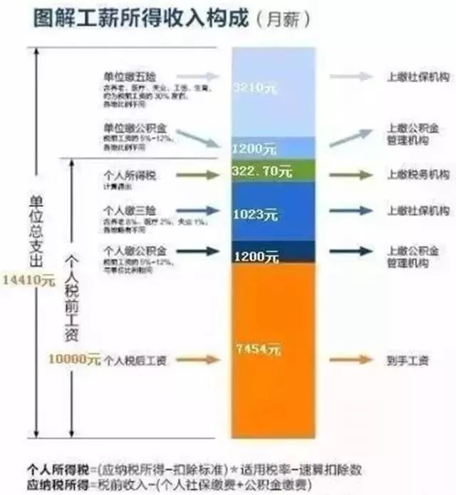 税务缴纳单位，责任与义务详解