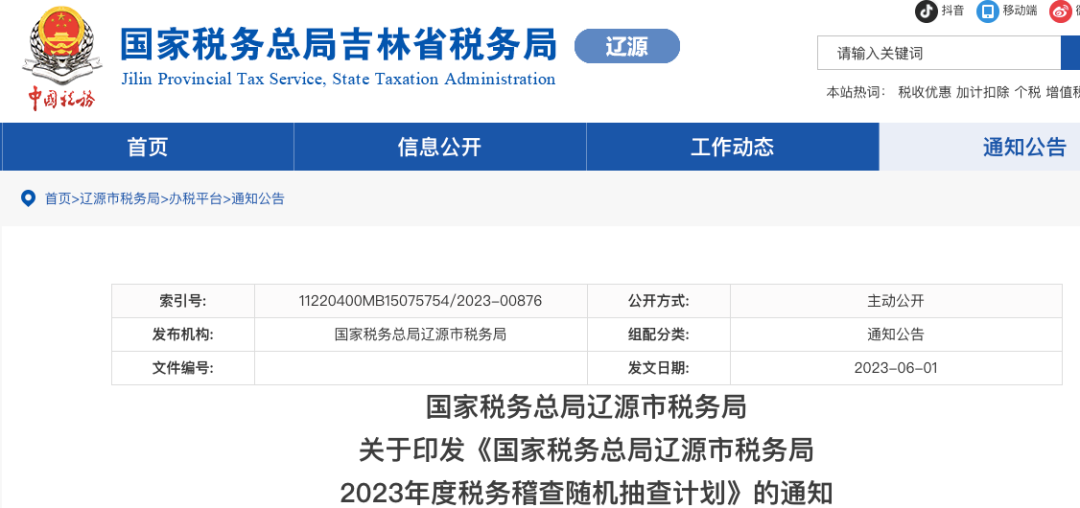 税务查十深度解析与应对策略探讨