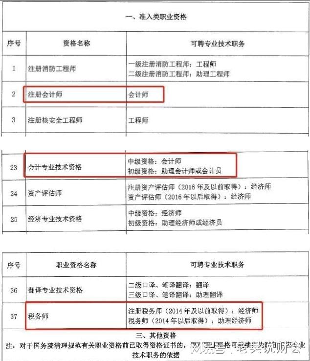 税务师专业能力体现与财税领域核心角色探究