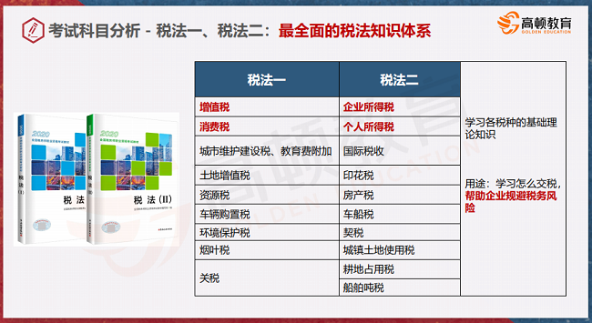 税务师税一，专业角色定位与职业发展路径探索