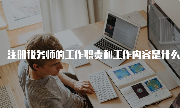 税务师工作内容概览