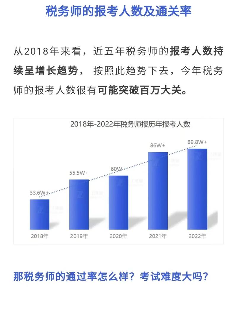 税务师年收入概览，现状、影响因素及未来趋势深度解析