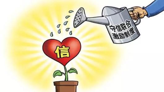 税务总局局长，级别、职责、权力与地位的全面解析