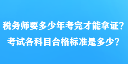 税务师考试的时间限制与备考策略深度解析