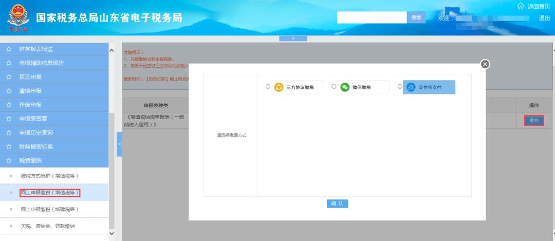 山东电子税务局网上申报系统，高效税务服务新模式