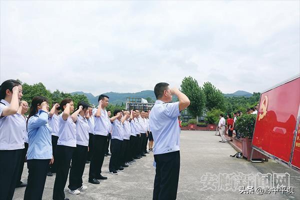 国家税务总局贵州省电子税务局，推动税务数字化转型的实践探索之路