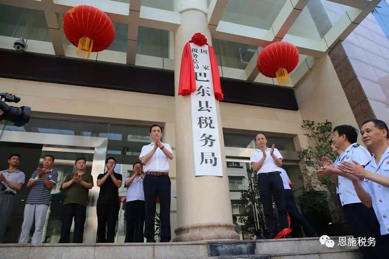 湖北省税务局，税收征管与公共服务的先锋典范