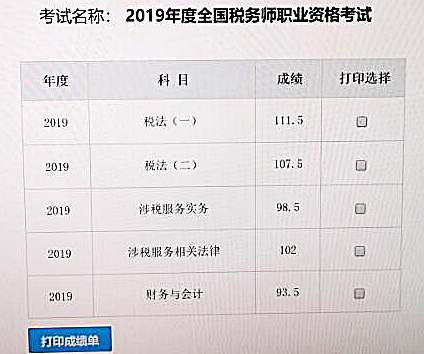 税务师成绩查询指南及注意事项全解析