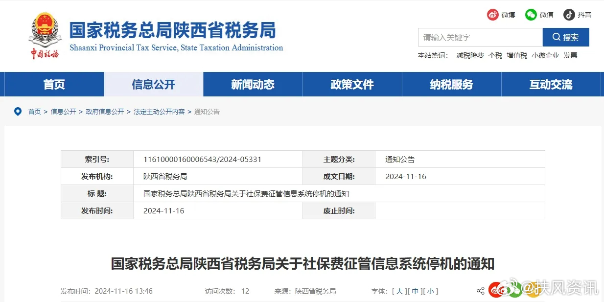 陕西省税务局官网，迈向数字化税务新时代