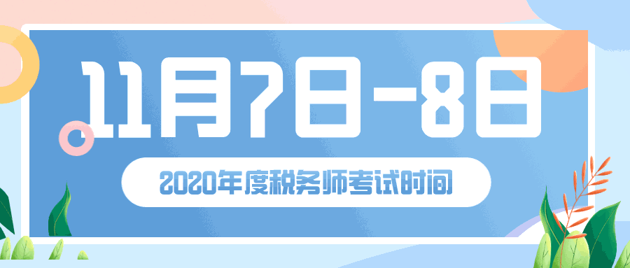 税务师考试时间与备考策略揭秘，洞悉动态，高效复习攻略