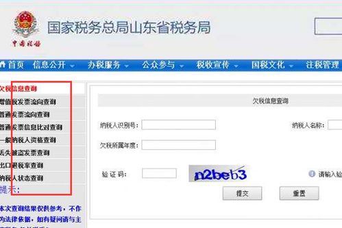 山东省国税网上办税平台，电子税务服务新模式便捷高效