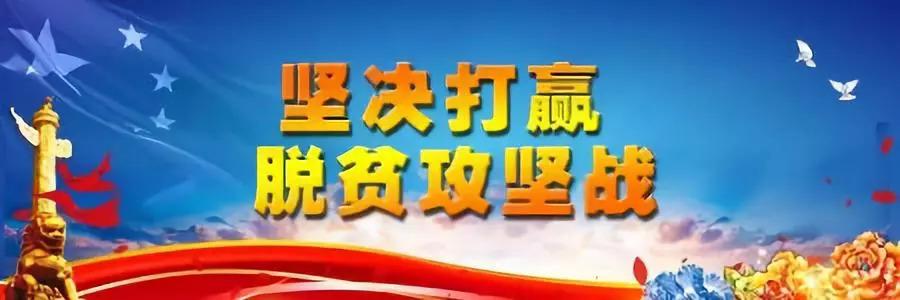 海南税务局，税收工作的卓越实践及未来展望