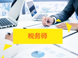 税务师的专业角色与社会职责解读