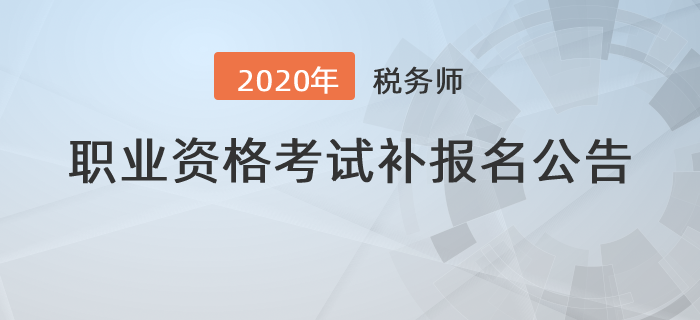 全国税务师协会，推动税务行业发展的核心驱动力