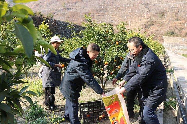 四川省注册税务师协会，推动税务行业发展的核心力量