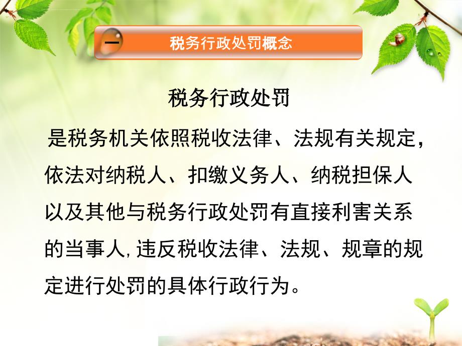 税务行政处罚的种类及其内涵解析