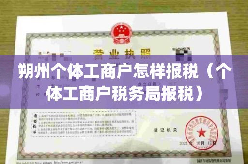 个体工商户税务，解析、指导与实践全攻略