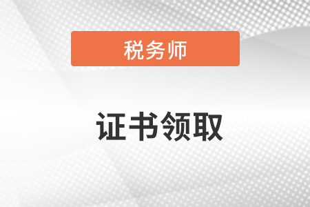 税务师证书申领指南，流程、要点与注意事项全解析