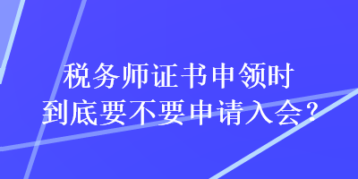 税务师年检，确保行业合规性的关键环节