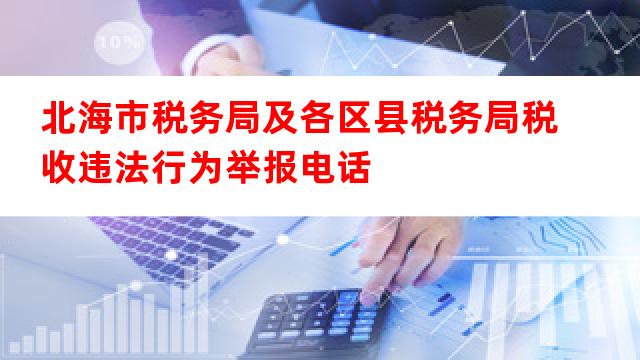 国家税务总局举报电话，维护税收秩序，守护公众权益的畅通通道