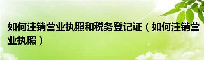 关于营业执照与税务登记证注销顺序的探讨