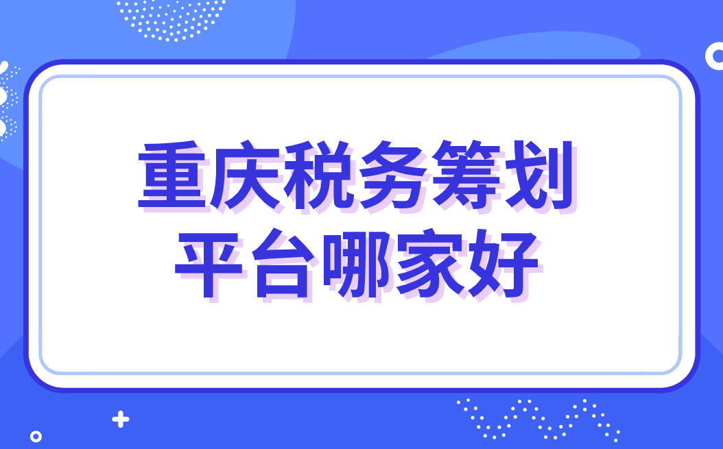 税务筹划平台的深度解析及其应用前景展望