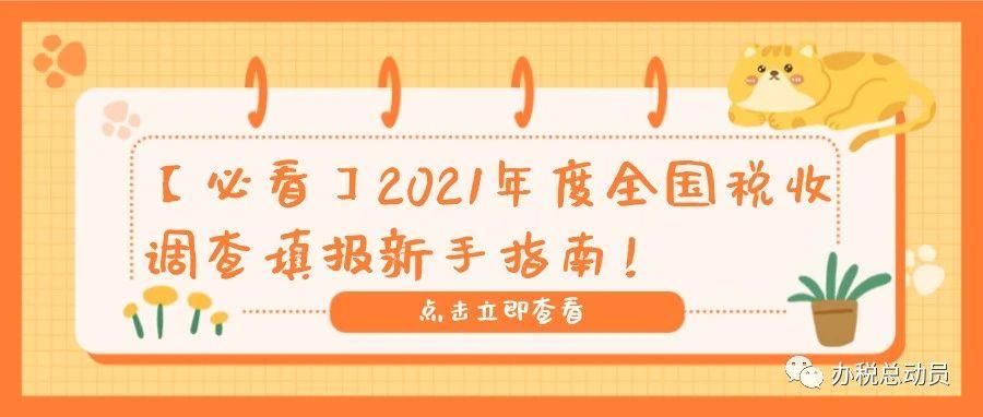 税务填报，理解、实践与优化策略