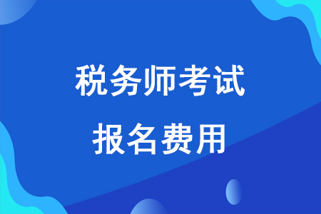 税务师报名考试，全面指南与备考准备