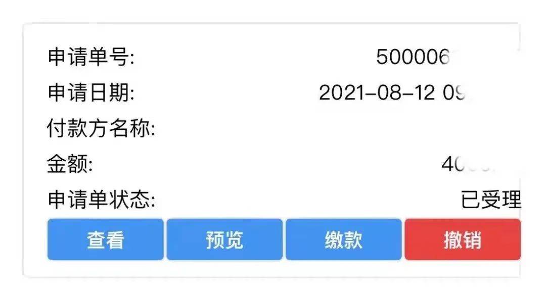 税务局优化税务征收与审计流程策略