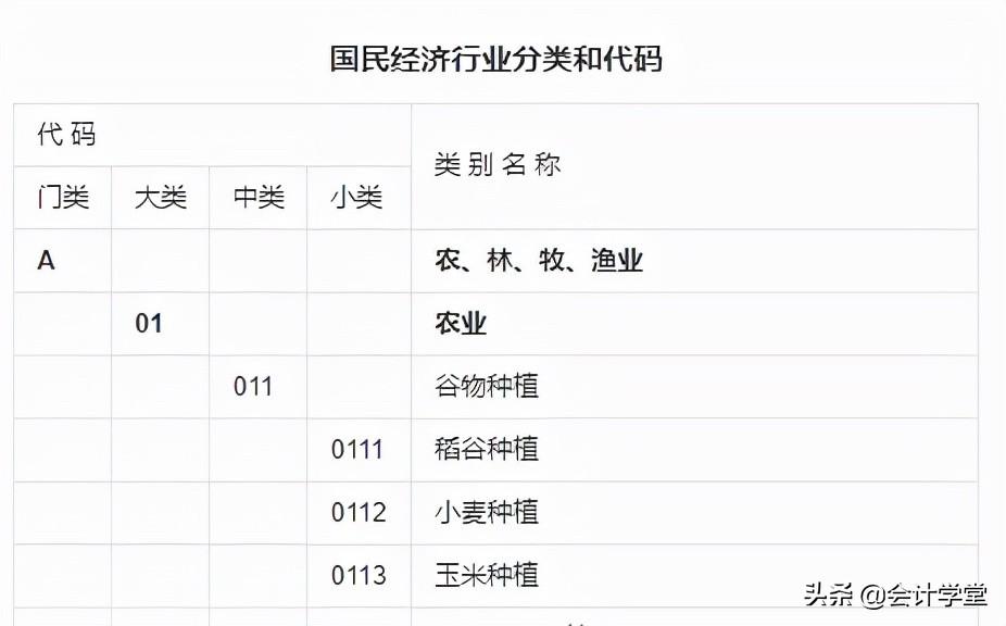 税务部门优化纳税人分类管理策略探究