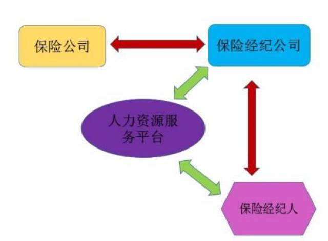 税务保险的覆盖范围与保障机制深度解析