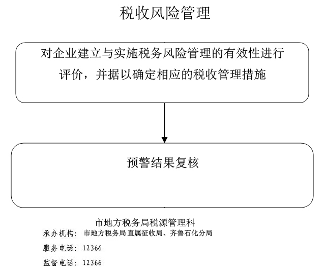 税务风险及其应对策略