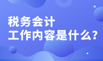 会计税务师的专业角色与挑战解析