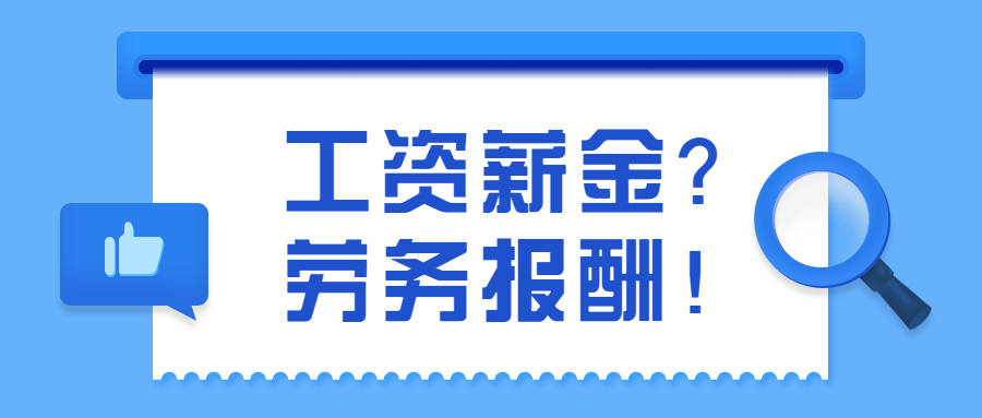 税务局临时工背后的故事与挑战，角色与影响揭秘