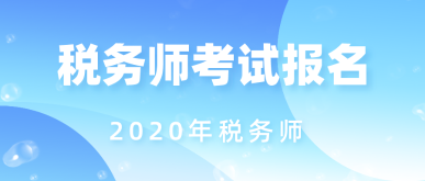 税务师年限，深度探讨及其对行业的多重影响分析