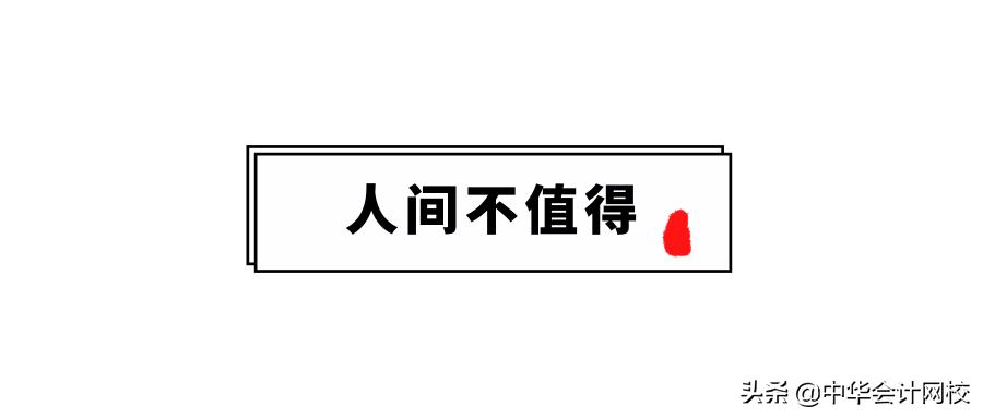 税务会计师中级，职责、技能与职业发展路径概述