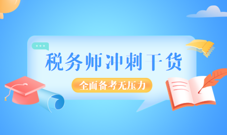 税务师的专业角色与社会责任解读