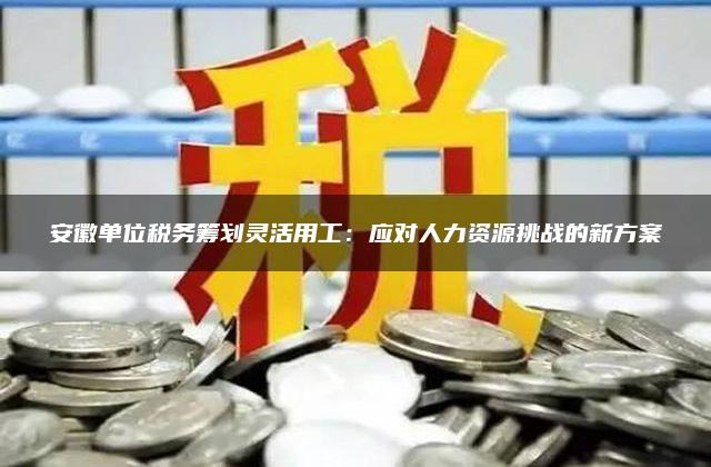 税务人力资源，构建高效税收体系的基石力量