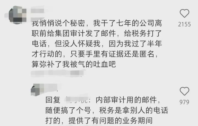 税务举报信，揭示违法行为，维护税收秩序之剑