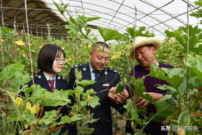 税务夏装制服，专业风采的完美结合