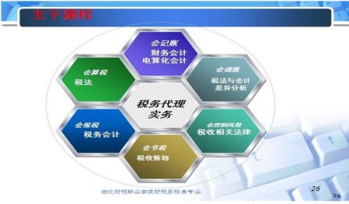 税务专业详解，从基础知识到实践应用