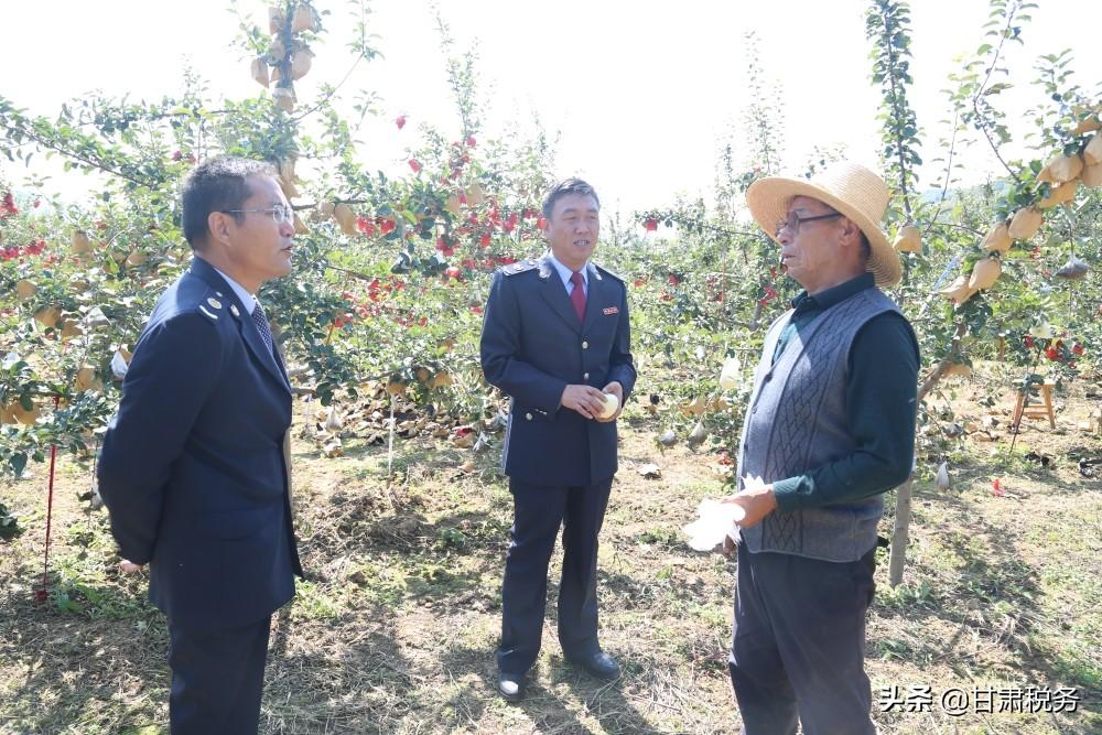 上市税务，企业走向资本市场的关键路径