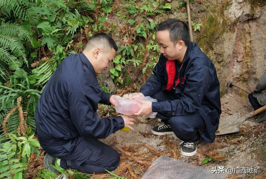 广西税务网上申报，便捷高效的新模式税务服务