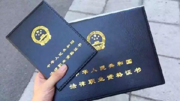 深度解读税务师证的含金量及其在实际工作中的应用价值