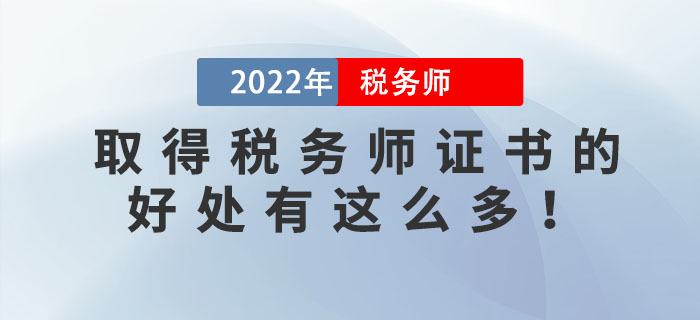 税务师的作用与重要性