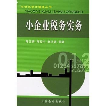 小企业税务申报，应对策略与实践方法