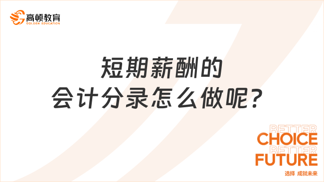 税务师会计分录，深入理解与实践操作指南