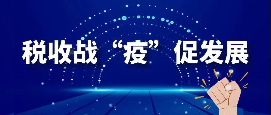 海南省国家税务总局，税收征管与经济发展的协同共进之道