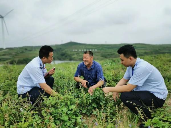 生态税务，构建绿色发展新篇章的税收策略